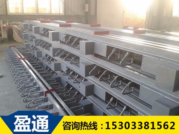 模數(shù)式橋梁伸縮縫-MZL-160 1.jpg