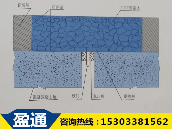 TST填充式橋梁接縫彈塑體結(jié)構(gòu)圖