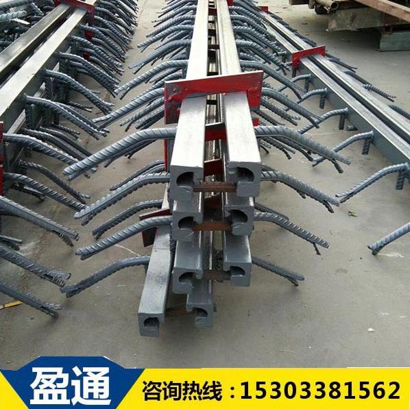公路橋梁伸縮縫 公路橋梁伸縮縫